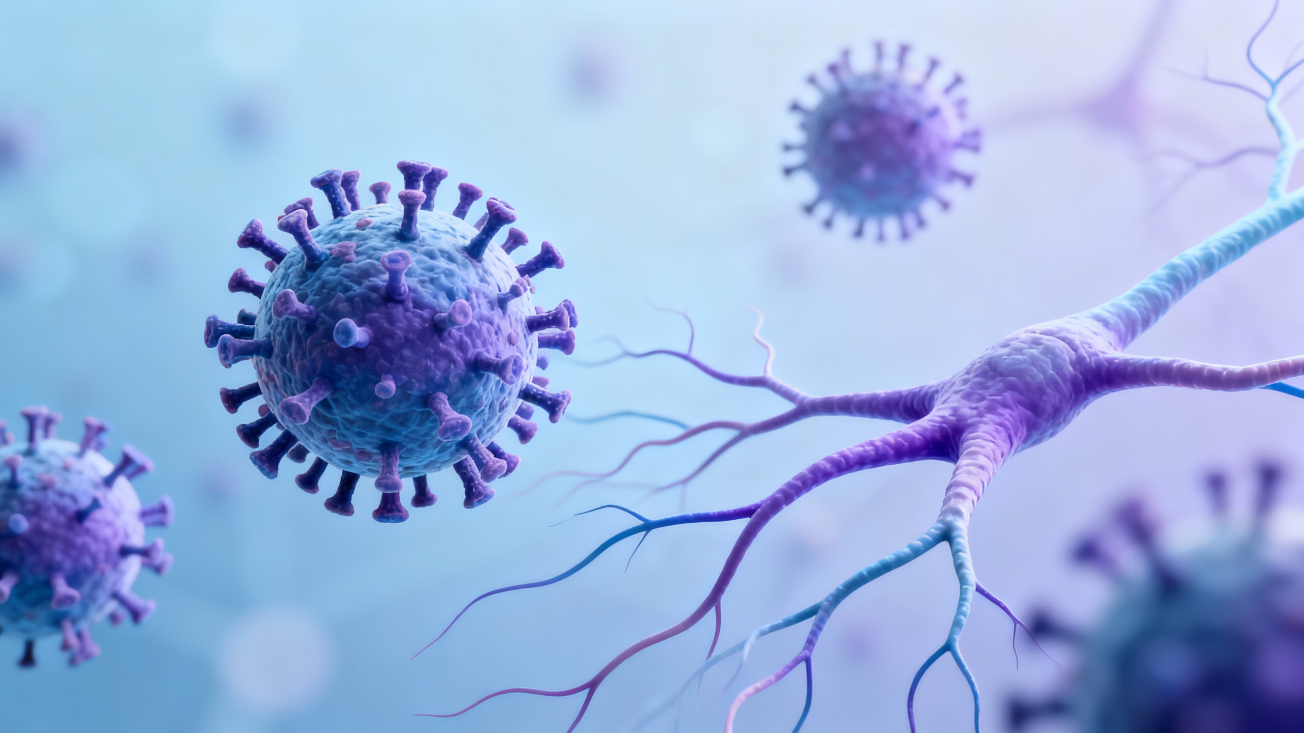 Featured image for Is Shingles the Same as a Herpes Rash?