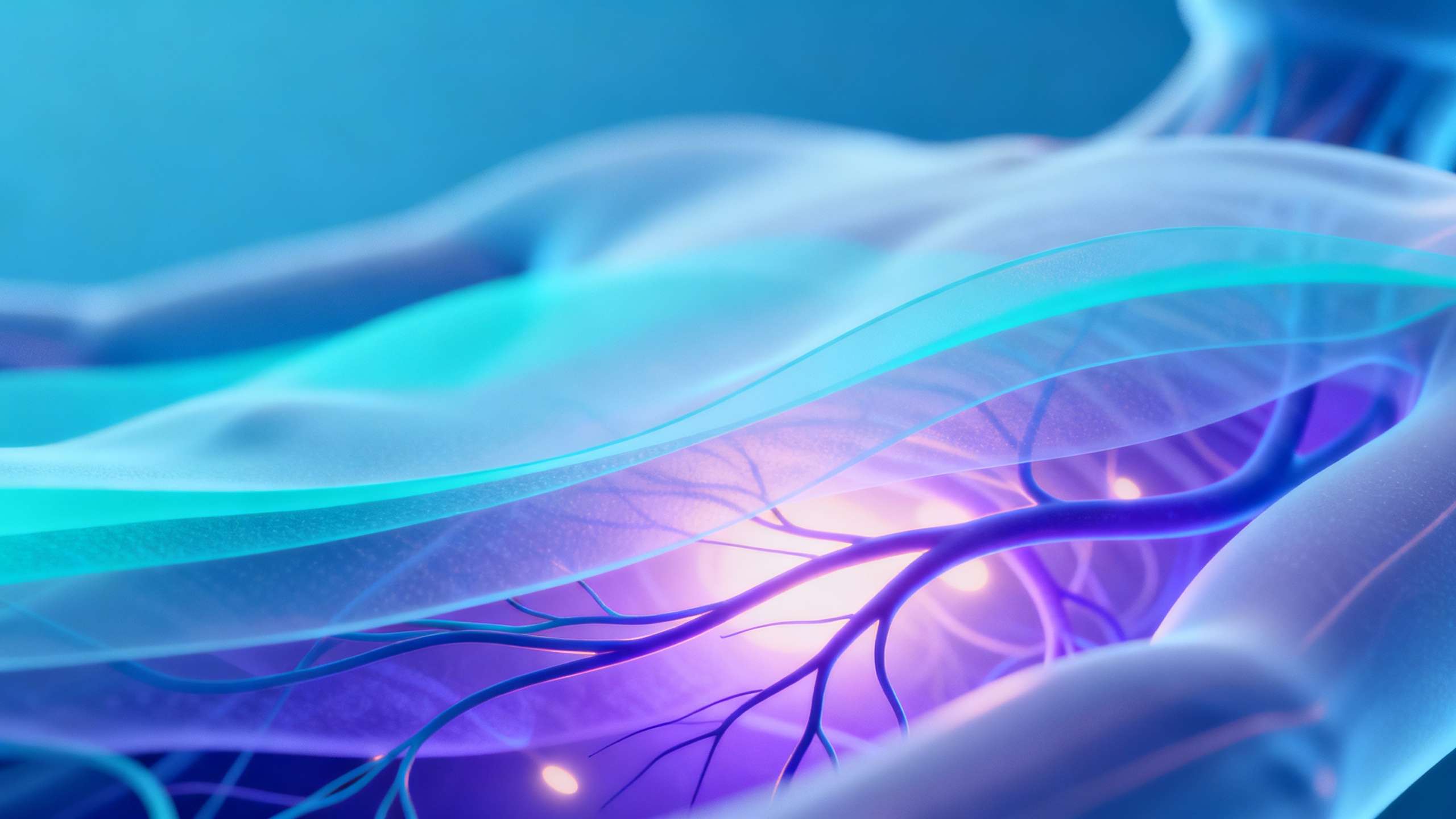 Featured image for What are the Symptoms of Internal Shingles?